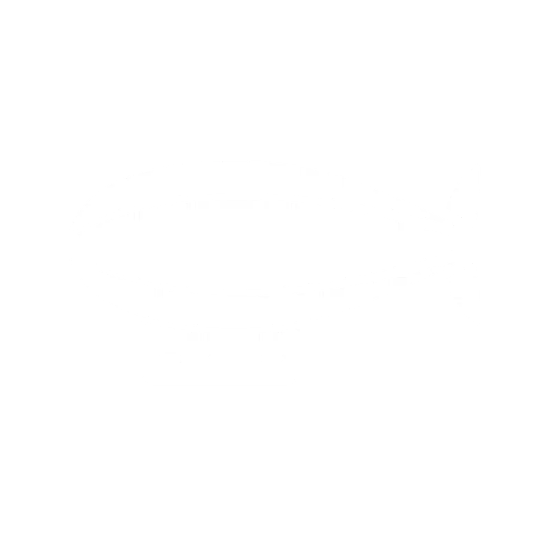 ZEPPELIN